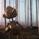 Imagen de la película Pinocchio