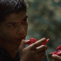 Foto de 'The Pack'