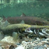 Iberia, naturaleza infinita