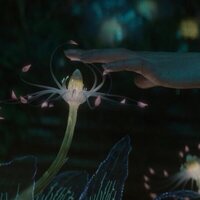 Foto de 'Vesper'