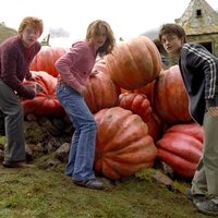 Foto de 'Harry Potter and the Prisoner of Azkaban'