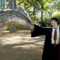 Foto de 'Harry Potter and the Prisoner of Azkaban'