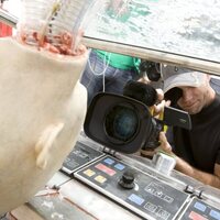 Foto de 'Crank: High Voltage'
