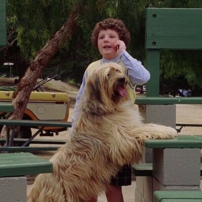 The Benchwarmers