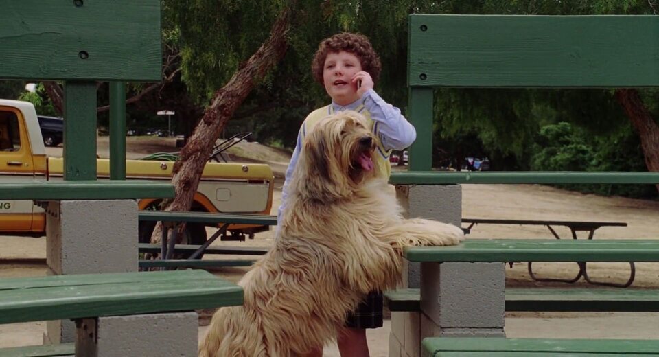 Imagen de la película The Benchwarmers