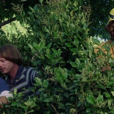 The Benchwarmers
