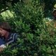 Imagen de la película The Benchwarmers