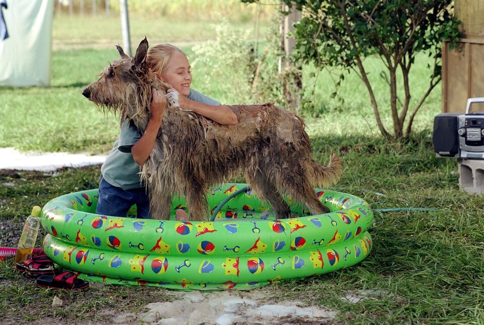 Imagen de la película Because of Winn-Dixie