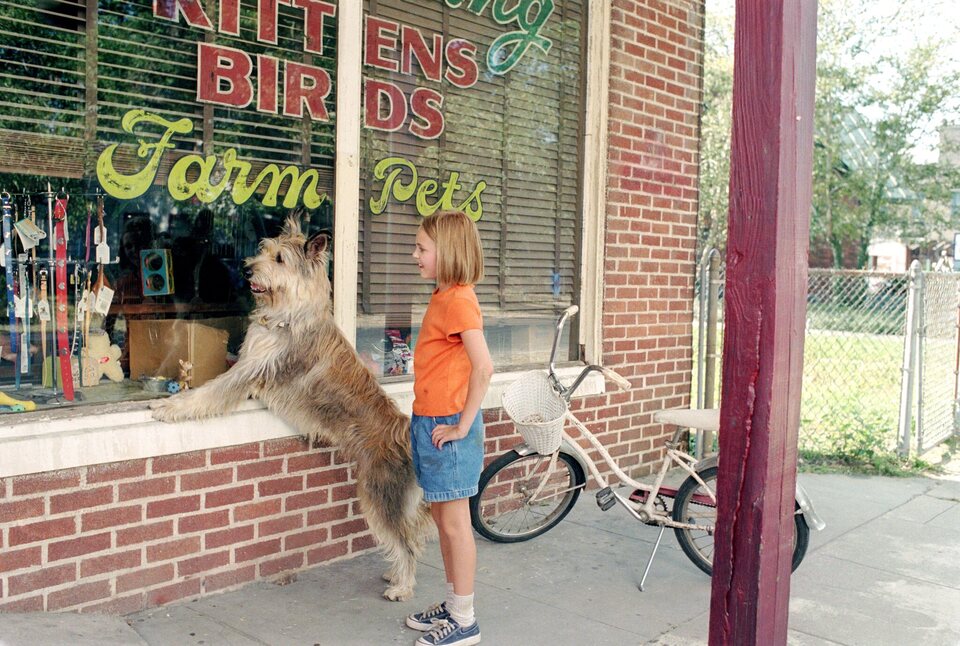 Imagen de la película Because of Winn-Dixie