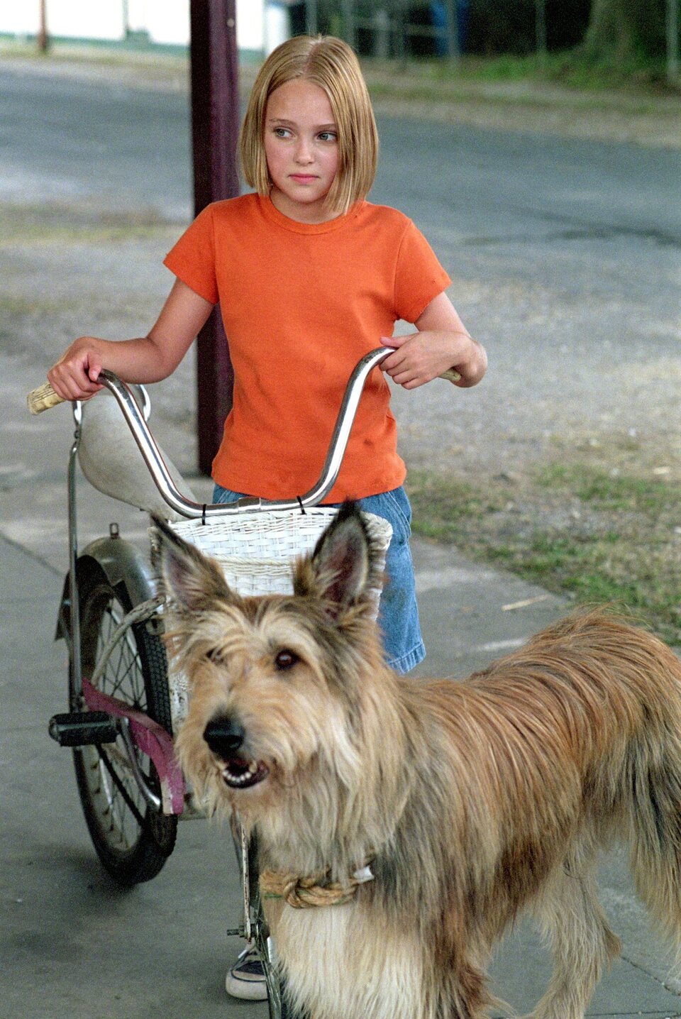 Imagen de la película Because of Winn-Dixie