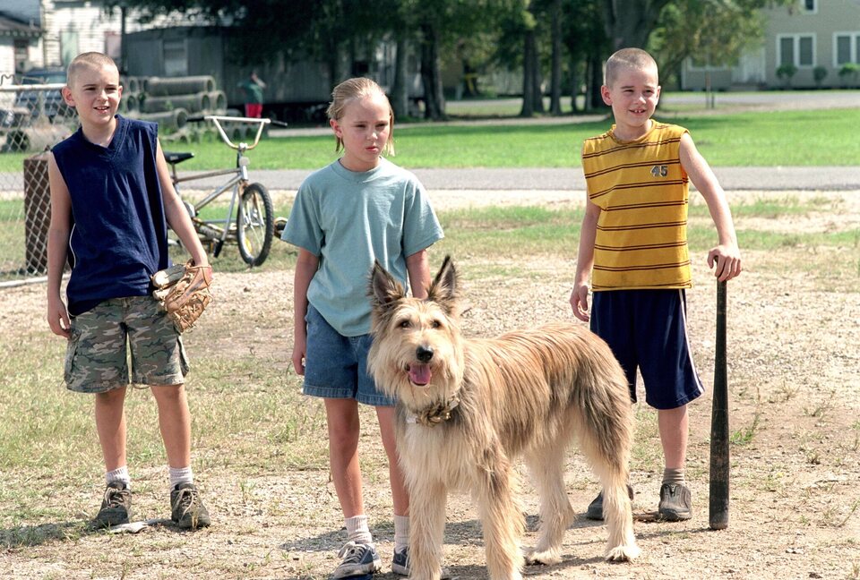 Imagen de la película Because of Winn-Dixie