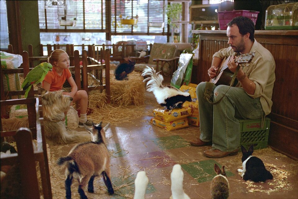 Imagen de la película Because of Winn-Dixie