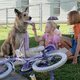 Imagen de la película Because of Winn-Dixie