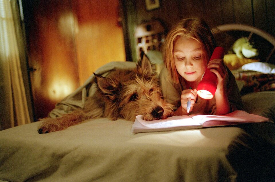 Imagen de la película Because of Winn-Dixie