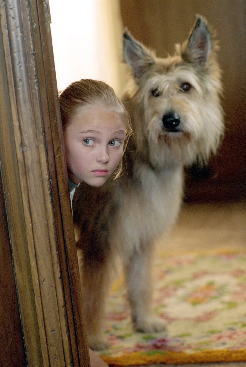 Imagen de la película Because of Winn-Dixie