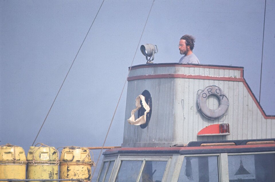 Imagen de la película Jaws