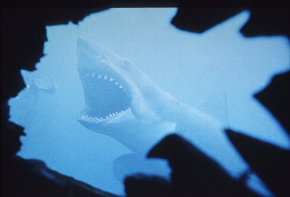 Imagen de la película Jaws