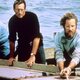 Imagen de la película Jaws