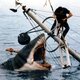 Imagen de la película Jaws