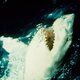 Imagen de la película Jaws