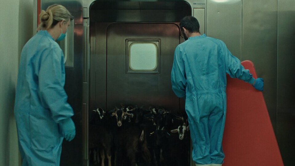 Imagen de la película Fauna