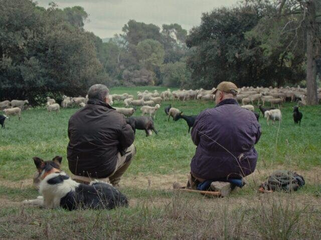 Imagen de la película Fauna
