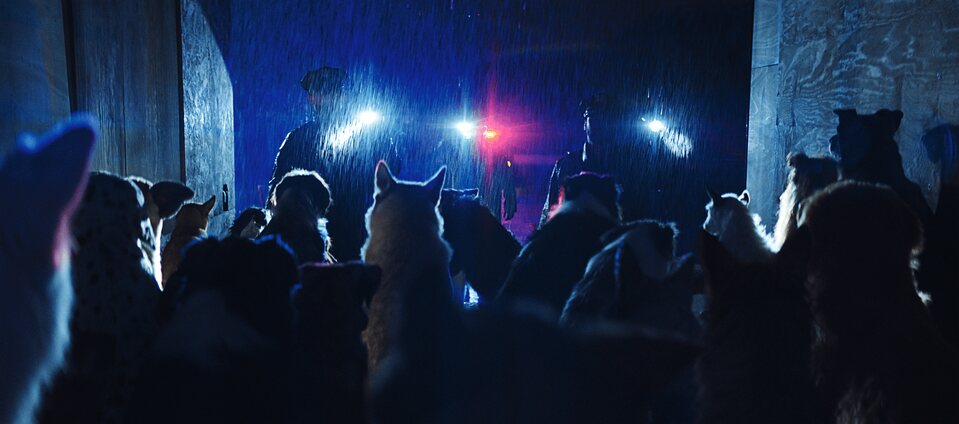 Imagen de la película Dog Man