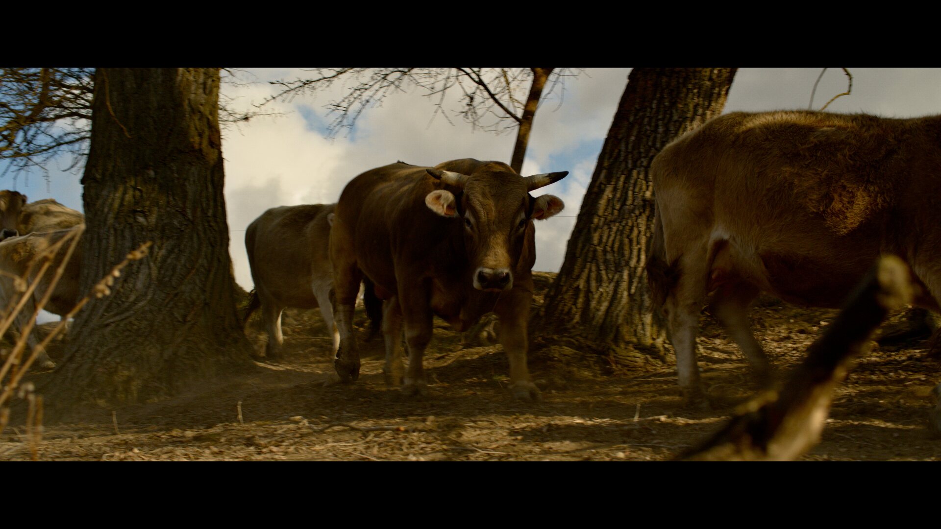 Imagen de la película Wild Road
