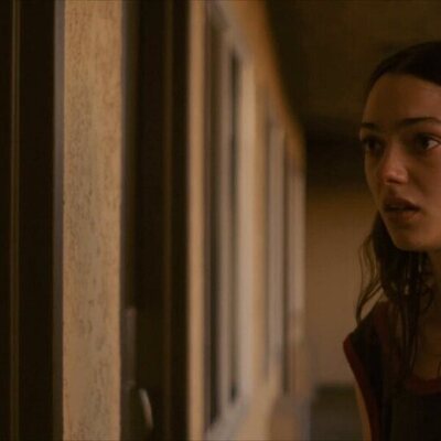 Palm Trees and Power Lines