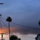 Imagen de la película Palm Trees and Power Lines