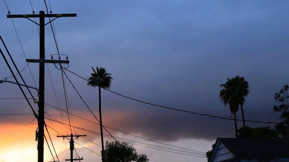 Imagen de la película Palm Trees and Power Lines