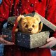 Imagen de la película Teddy's Christmas