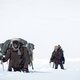 Imagen de la película Society of the Snow