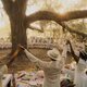 Imagen de la película The Colour Purple