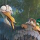 Imagen de la película Migration