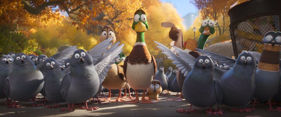 Imagen de la película Migration