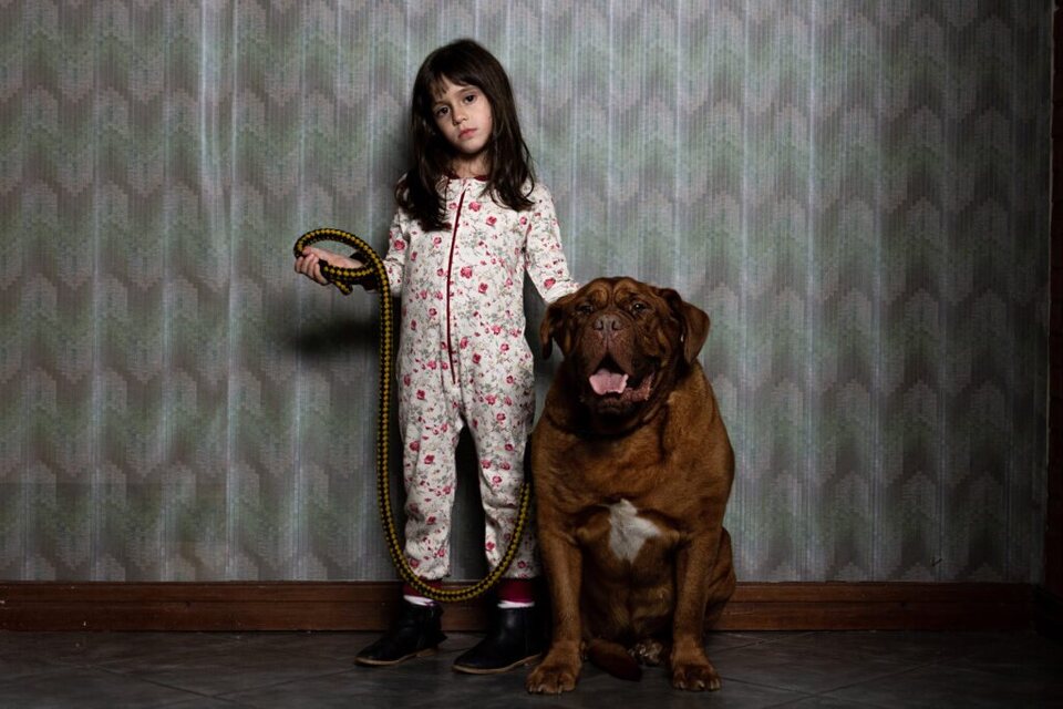 Imagen de la película When Evil Lurks