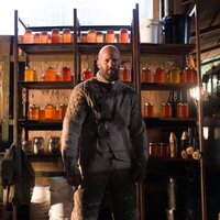 The Beekeeper: El protector