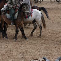 El caballo de dos patas