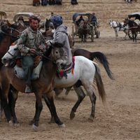 Foto de 'Two-Legged Horse'