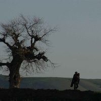 Foto de 'Two-Legged Horse'
