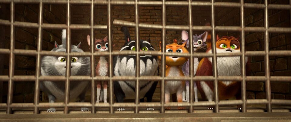 Imagen de la película Cats in the museum