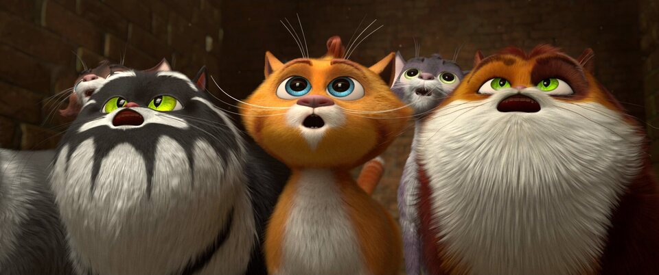Imagen de la película Cats in the museum