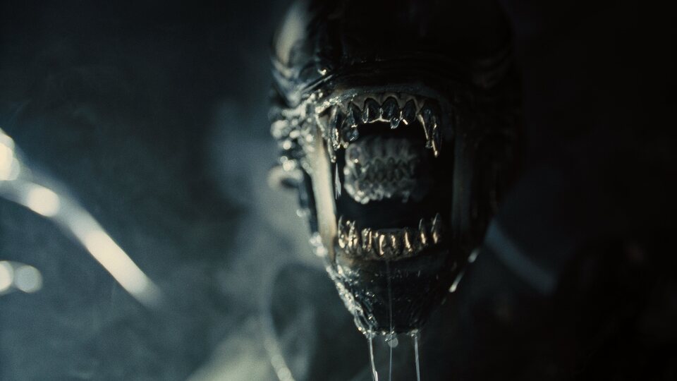 Imagen de la película Alien: Romulus