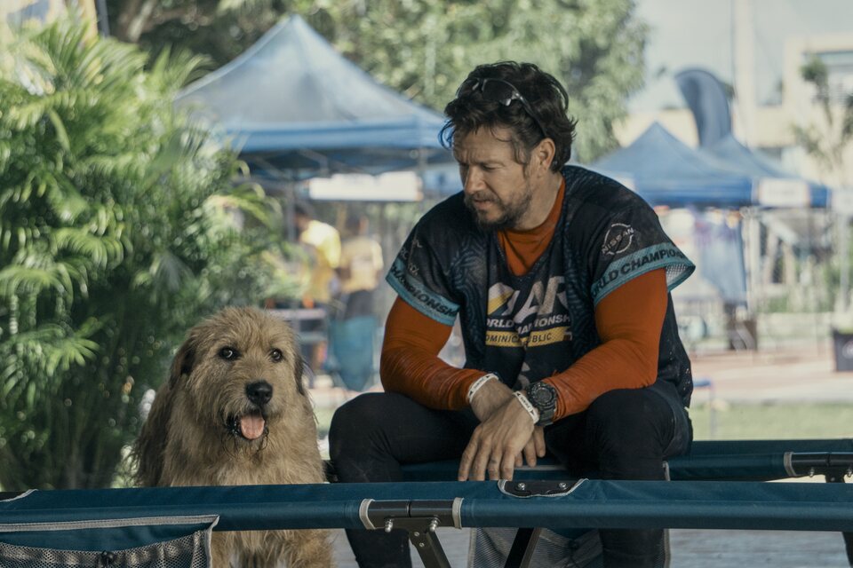 Imagen de la película Mark Wahlberg