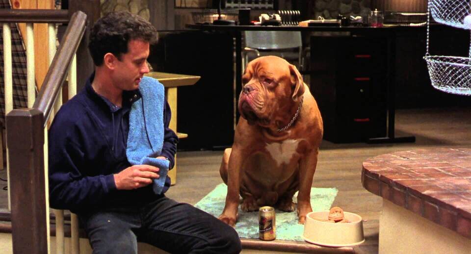 Imagen de la película Tom Hanks