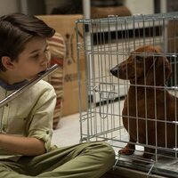 Foto de 'Wiener-Dog'