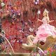 Imagen de la película Wicked