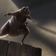 Imagen de la serie Love, Death & Robots