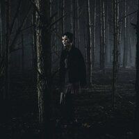 Foto de 'The Strangers: Chapter 1'